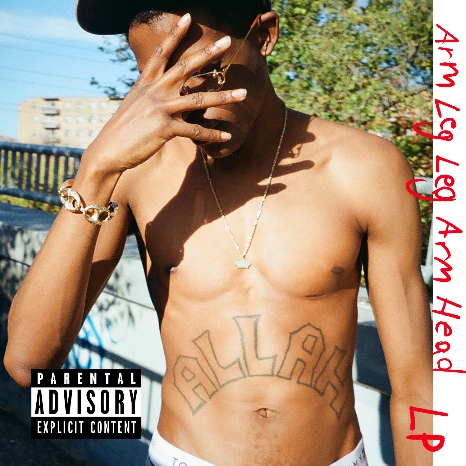 Raz Fresco & Eric Right "Arm Leg Leg Arm Head" LP | Digital Album